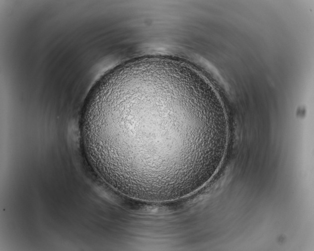 X0000102771218200808251044