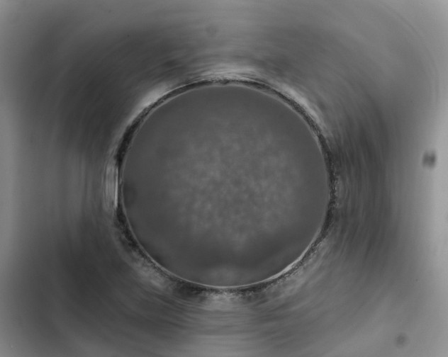 X0000102771219200808251044