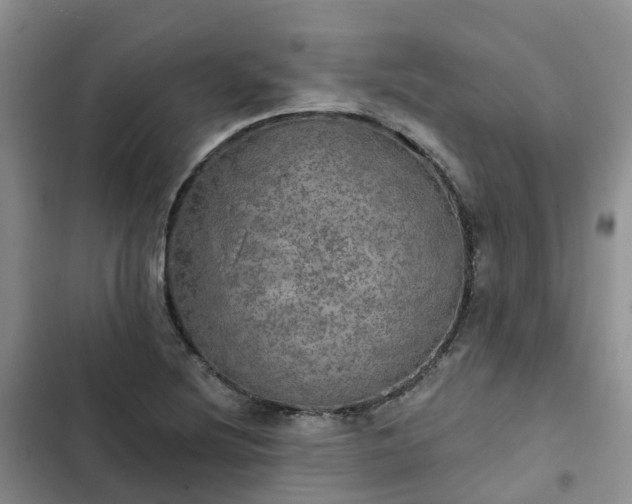 X0000102771220200808251044