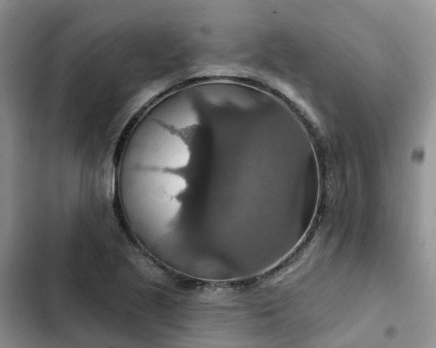 X0000102771221200808251044