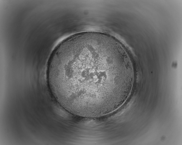 X0000102771222200808251044