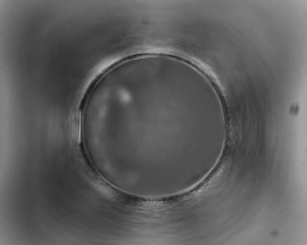 X0000102771223200808251044