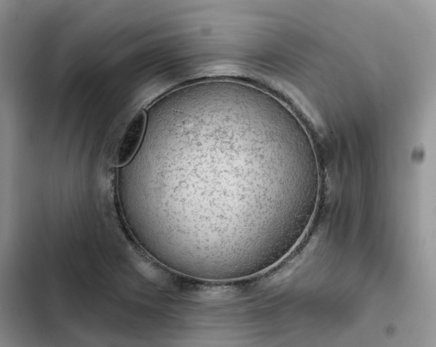 X0000102771225200808251044