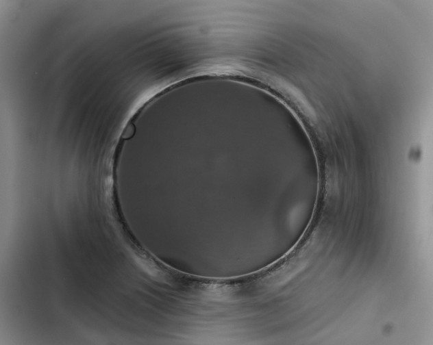 X0000102771226200808251044