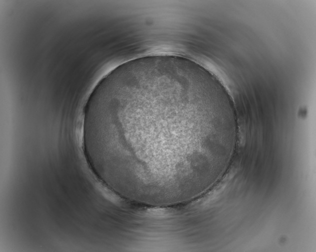 X0000102771227200808251044