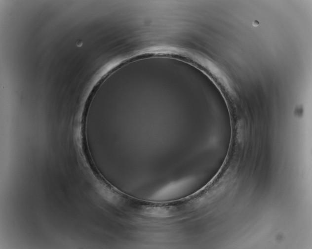 X0000102771229200808251044