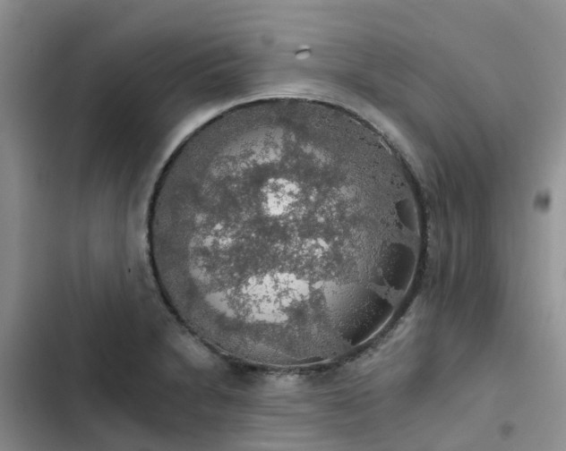 X0000102771230200808251044