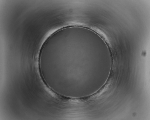 X0000102771231200808251044