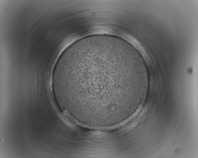 X0000102771234200808251044