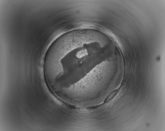 X0000102771235200808251044