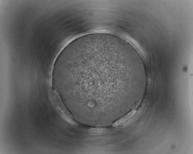 X0000102771236200808251044