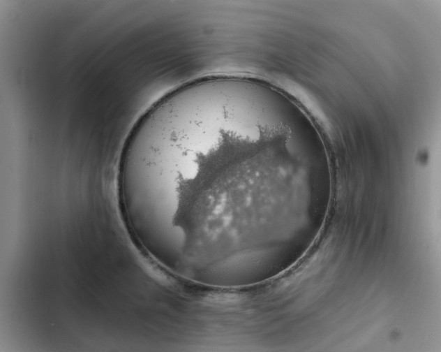 X0000102771237200808251044