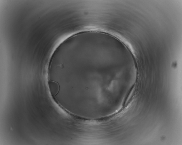 X0000102771239200808251044