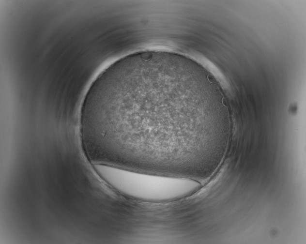 X0000102771240200808251044