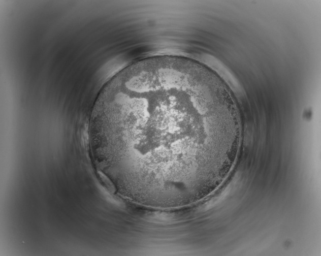 X0000102771241200808251044