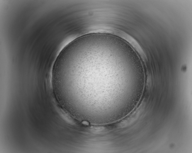 X0000102771242200808251044