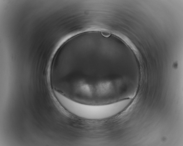 X0000102771246200808251044