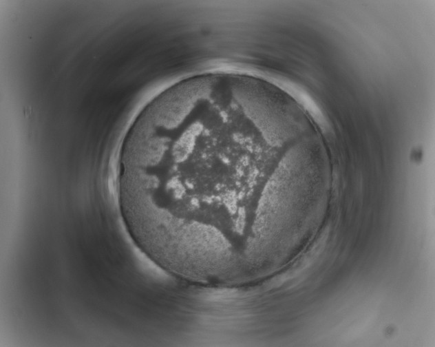 X0000102771247200808251044