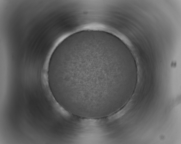 X0000102771248200808251044