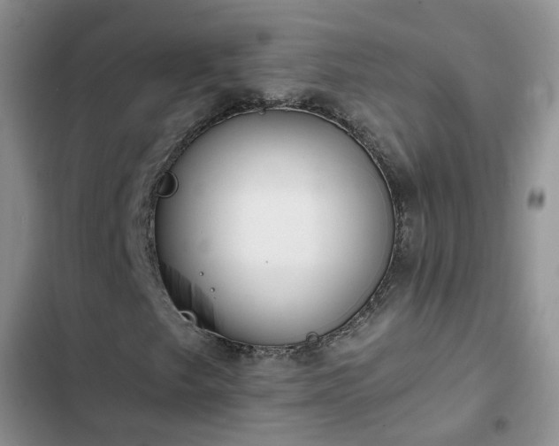 X0000102771249200808251044