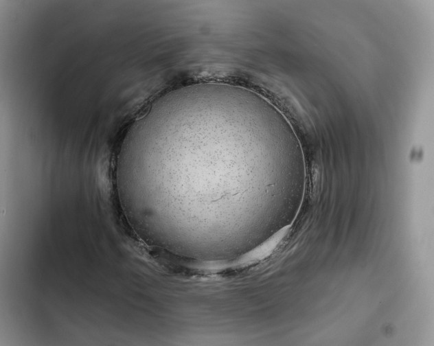 X0000102771250200808251044