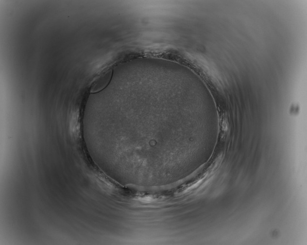 X0000102771252200808251044