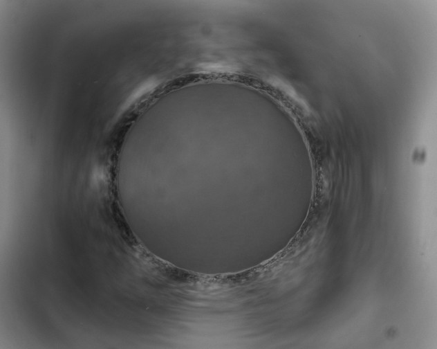 X0000102771254200808251043