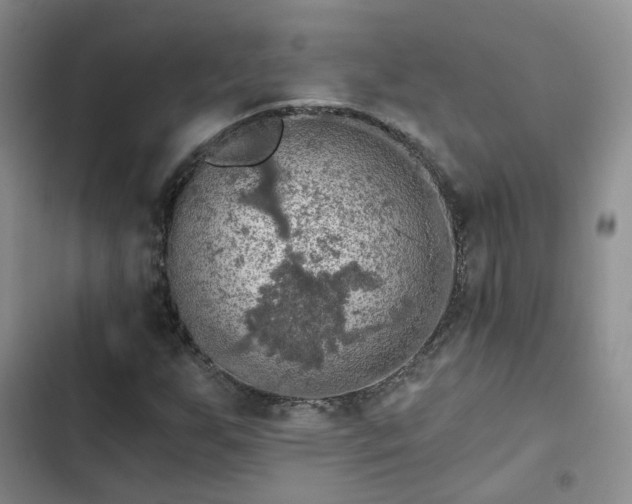 X0000102771255200808251043