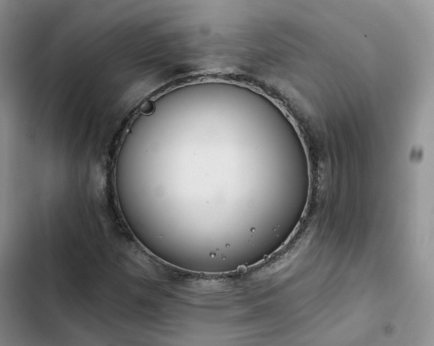 X0000102771257200808251043