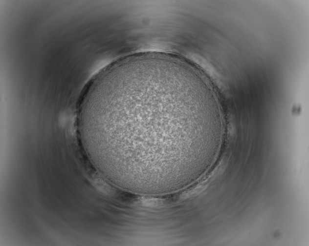 X0000102771258200808251043