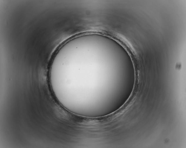 X0000102771260200808251043