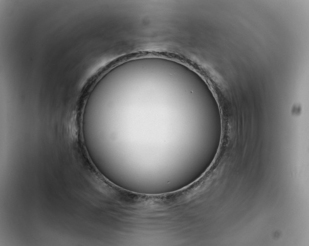 X0000102771262200808251043