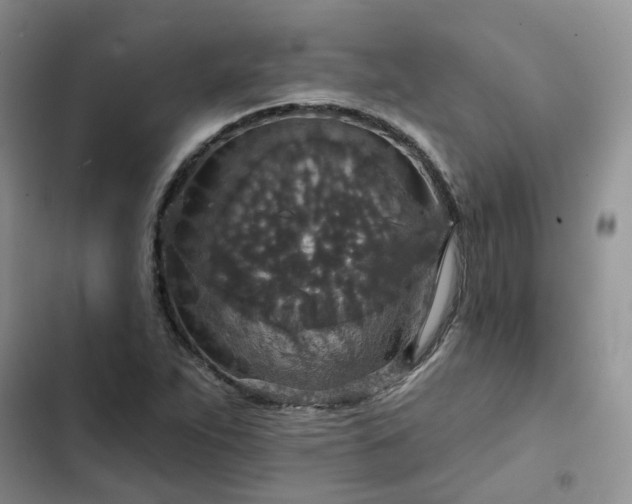 X0000102771263200808251043