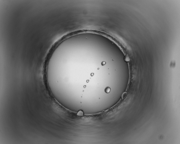 X0000102771264200808251043