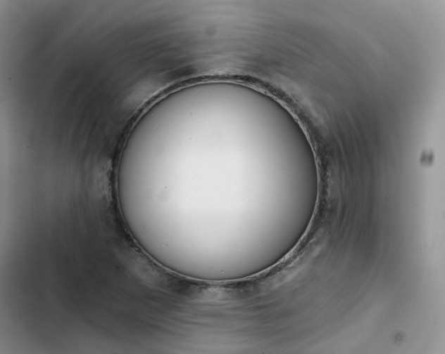 X0000102771265200808251043