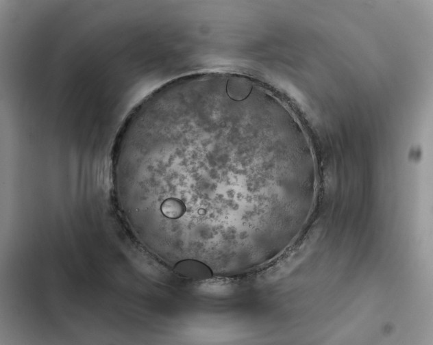 X0000102771267200808251043