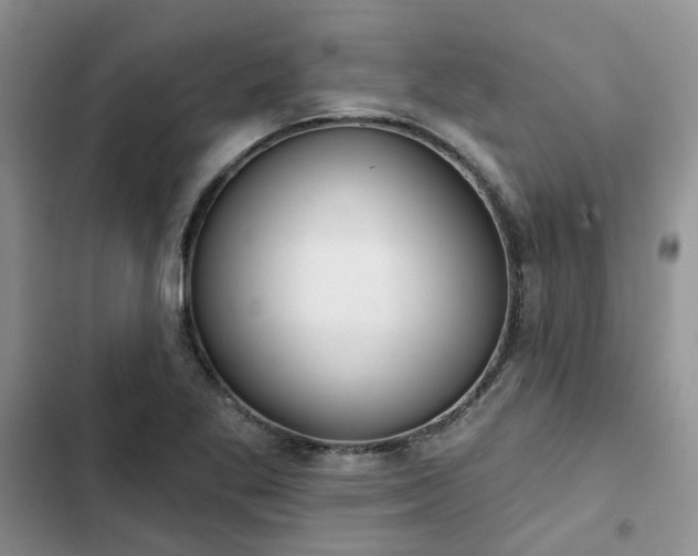 X0000102771269200808251043