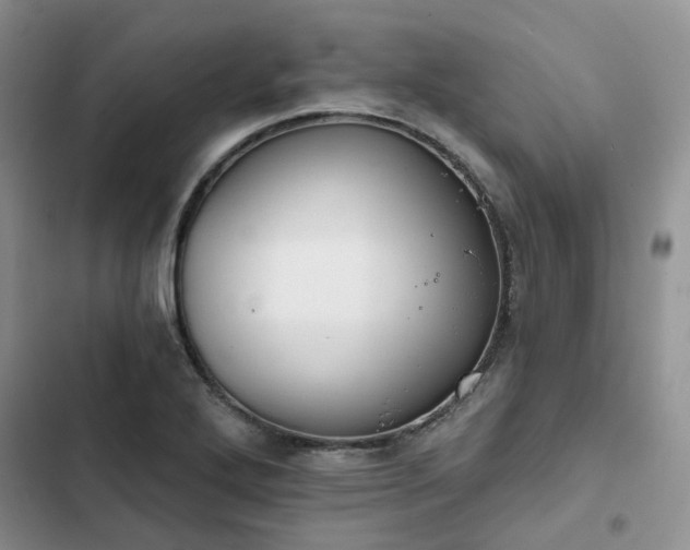 X0000102771272200808251043