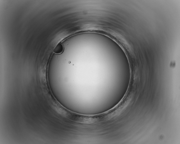 X0000102771273200808251043