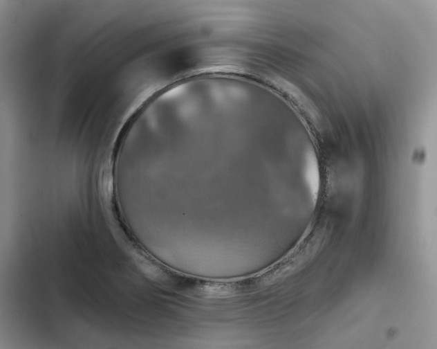 X0000102771274200808251043