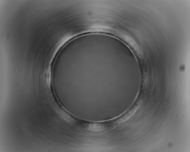 X0000102771275200808251043