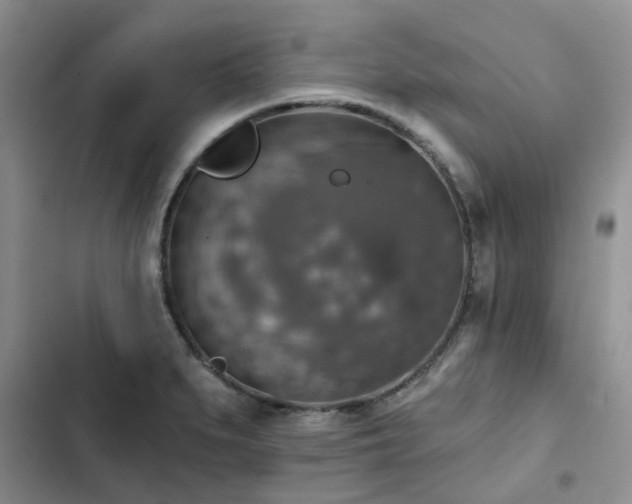 X0000102771279200808251043