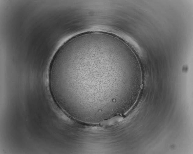 X0000102771280200808251043