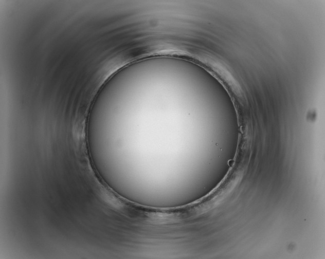 X0000102771281200808251043