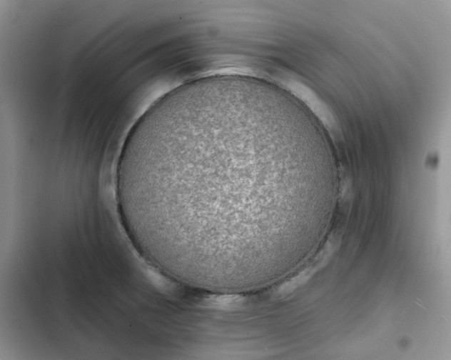 X0000102771282200808251043