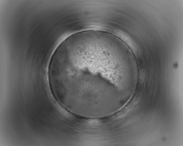 X0000102771283200808251043