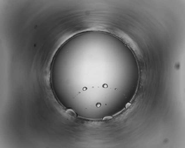 X0000102771284200808251043