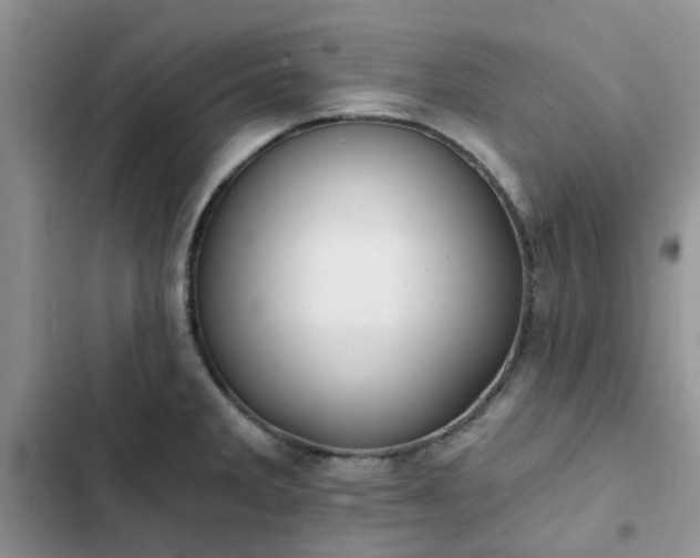 X0000102771285200808251043