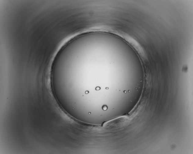 X0000102771288200808251043