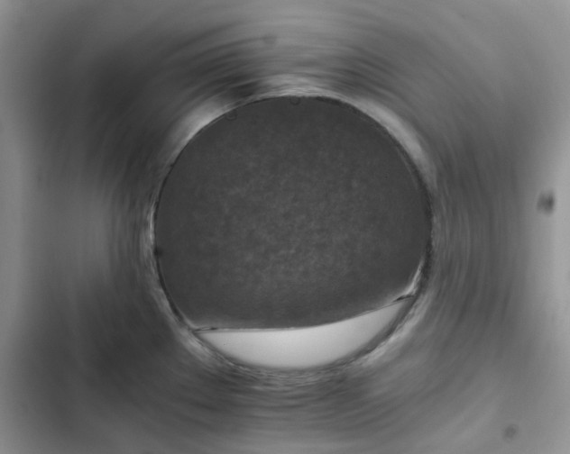 X0000102771289200808251043